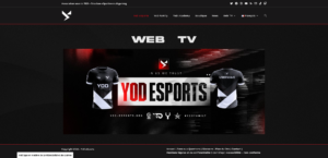 Site de la YoD eSports